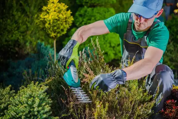 landscaping services Bedford
